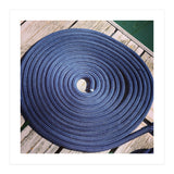 Blue rope coil (Print Only) thumbnail