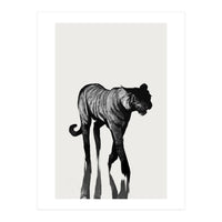 Tiger  (Print Only)