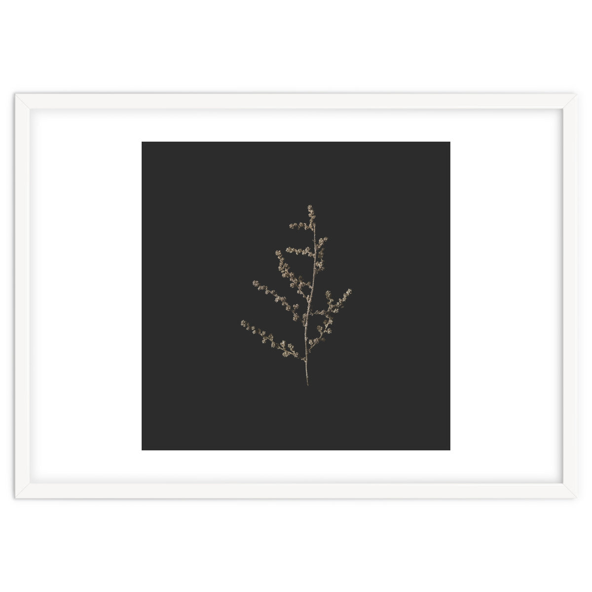 Dainty Botanicals in Gold and Black - Square