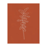 Line Art Botanical Terracotta (Print Only) thumbnail