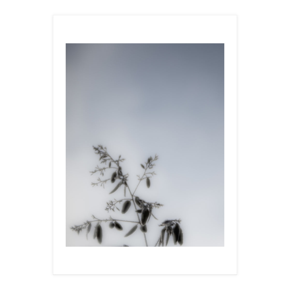 Forgotten Memories of Summer #17 (Print Only)