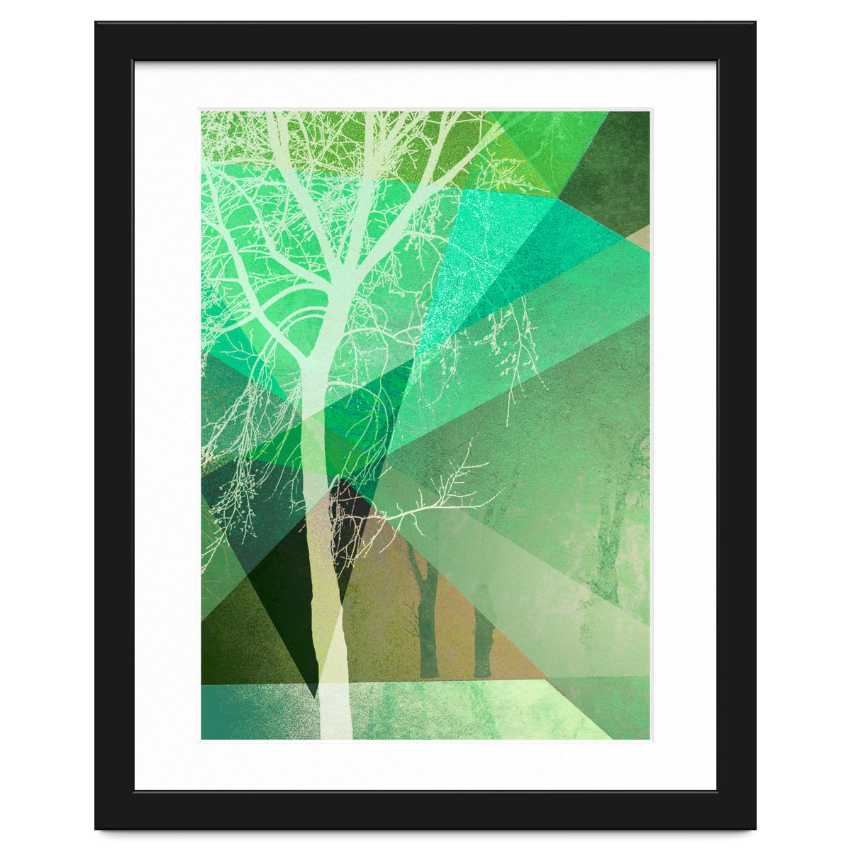 P22 B Trees And Triangles