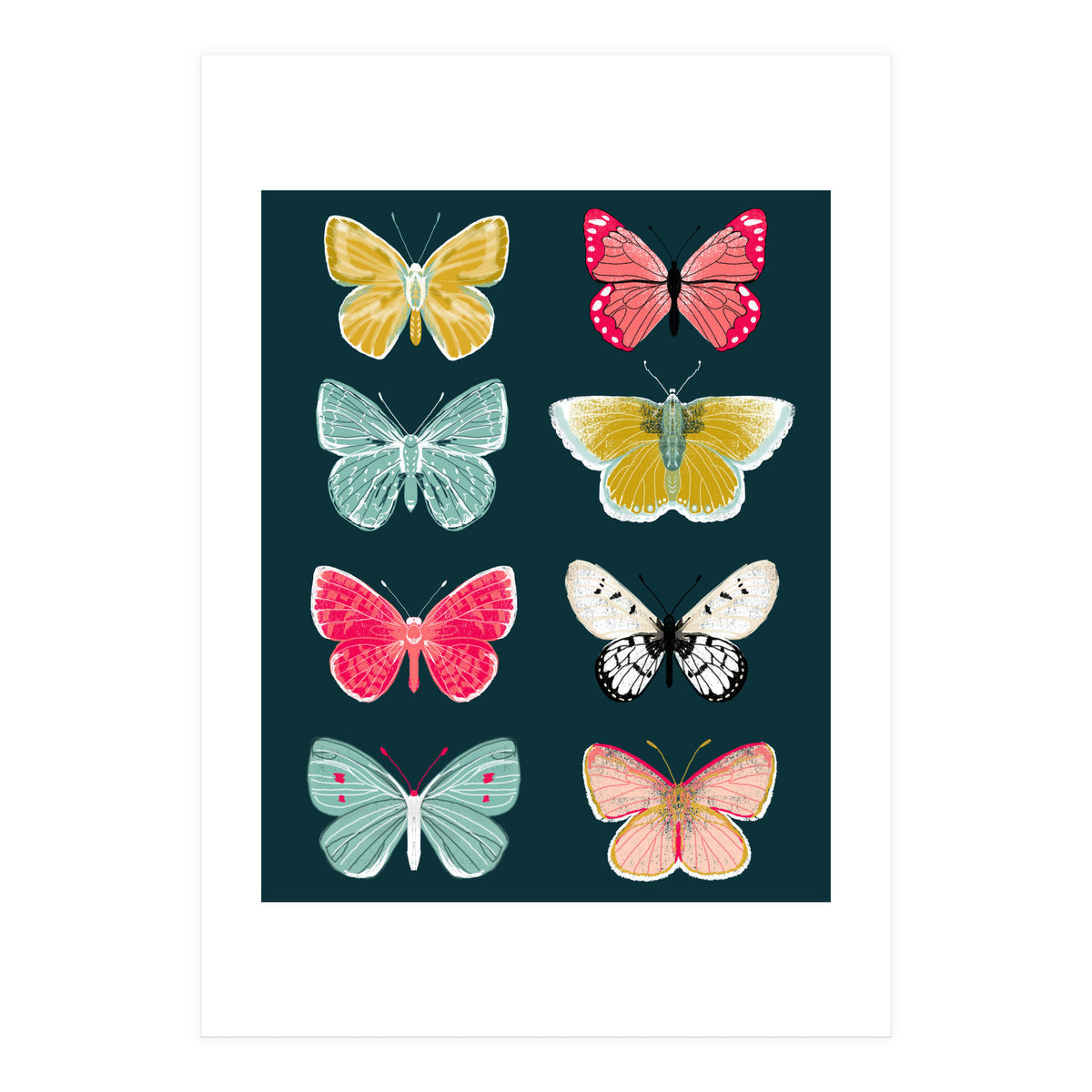 Lepidoptery Study No. 2 (Print Only)