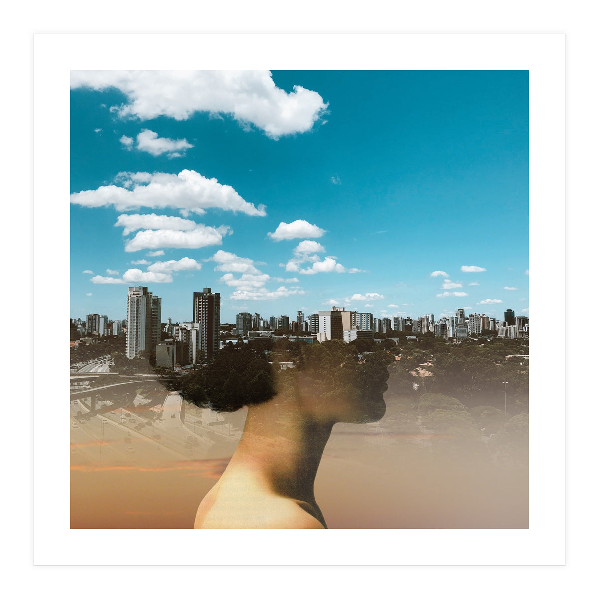 Dream Division 15 (Print Only)