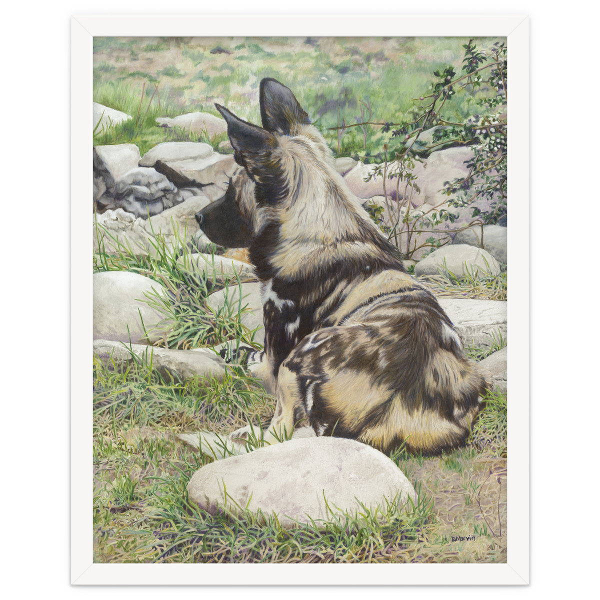 African Painted Dog I