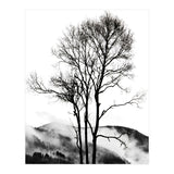 Rocky Mountains (Print Only) thumbnail