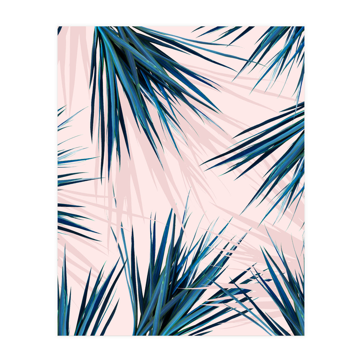 Pointy Palm (Print Only)