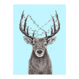 Xmas Deer II (Print Only) thumbnail