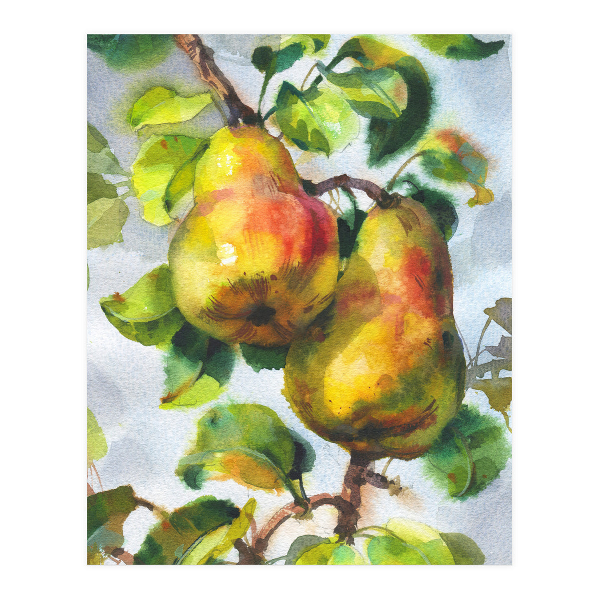 Pears (Print Only)