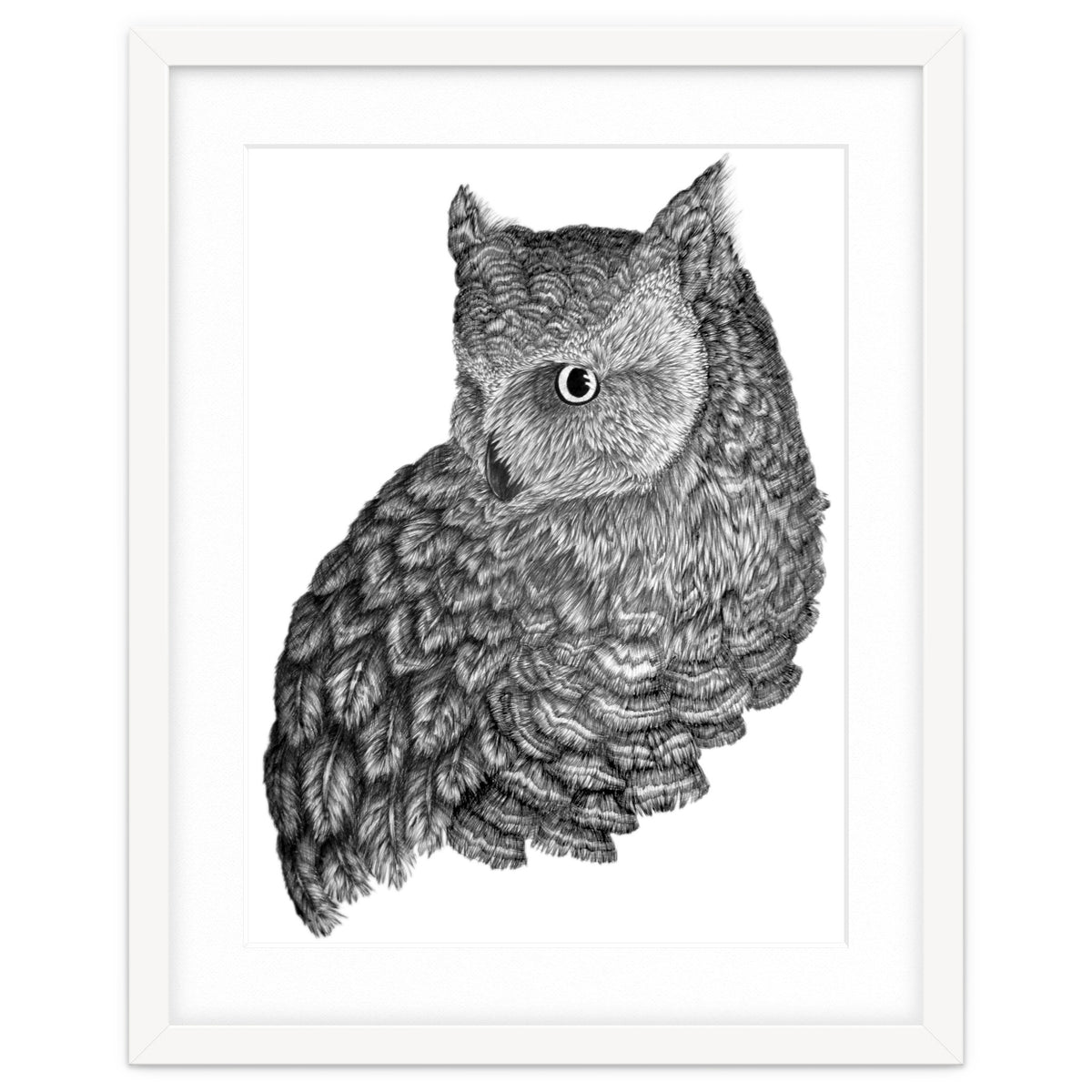 A Friend For Forsythe