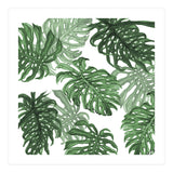 Monstera Deliciosa (Print Only) thumbnail