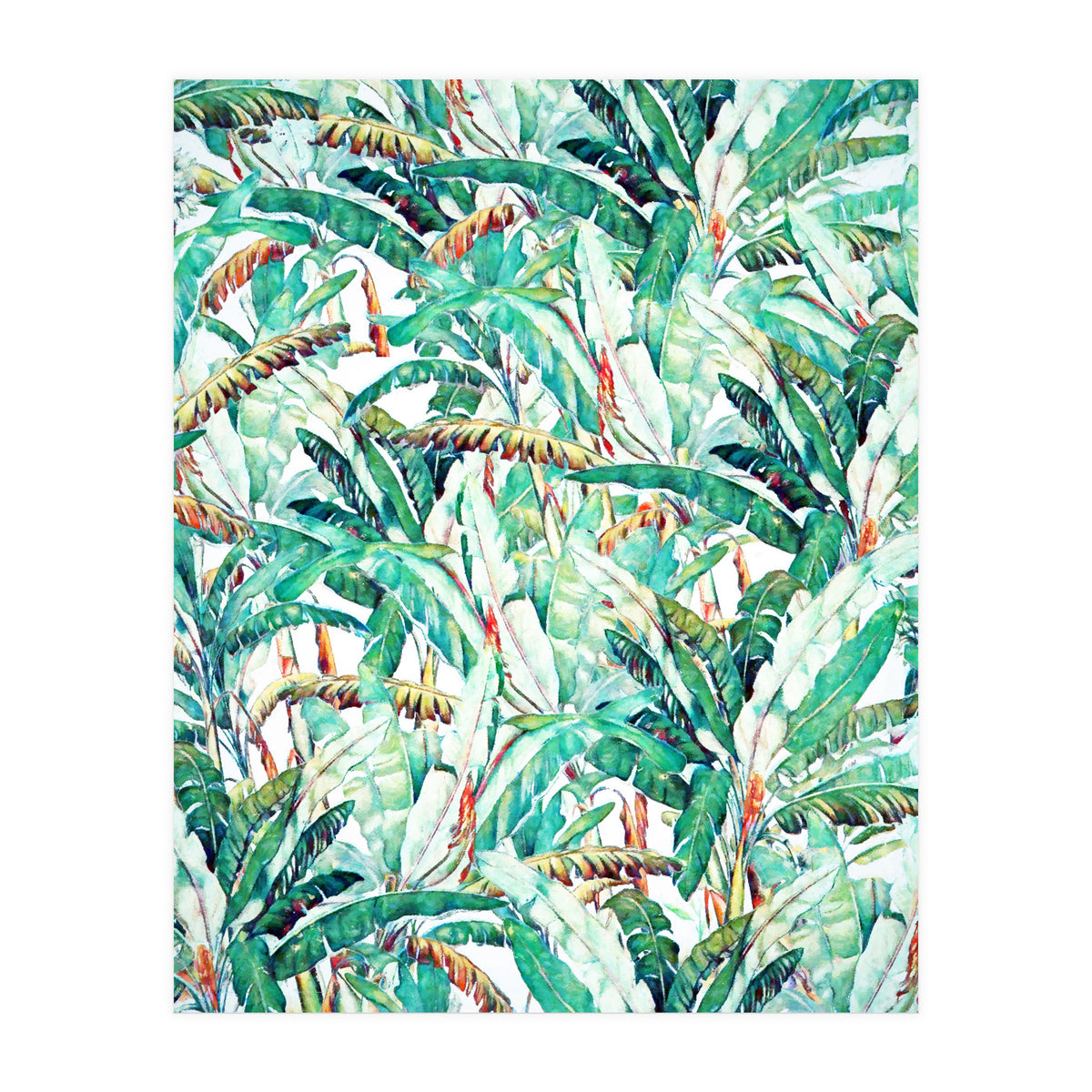 Banana Love (Print Only)