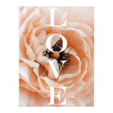 Love (Print Only) thumbnail