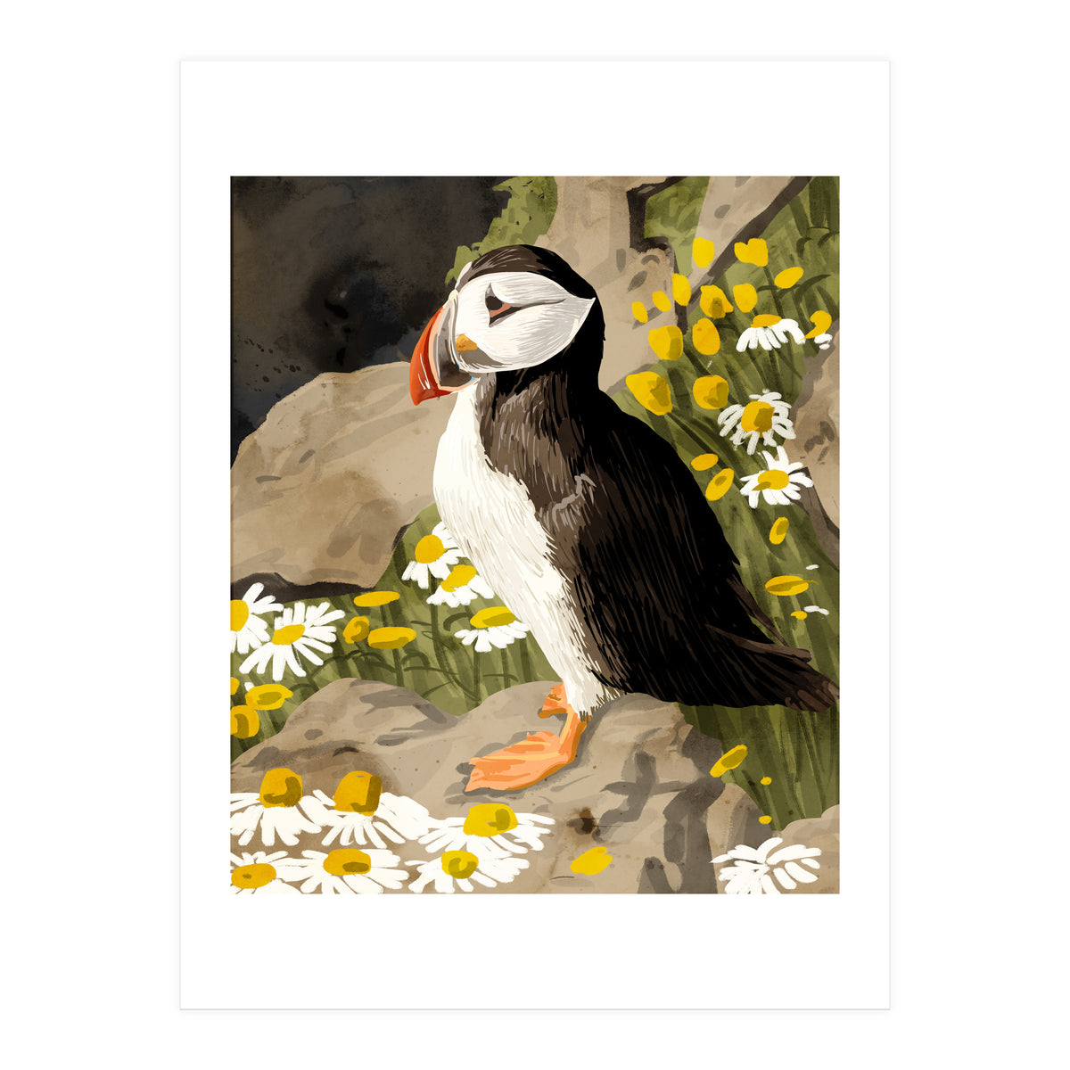Puffin (Print Only)