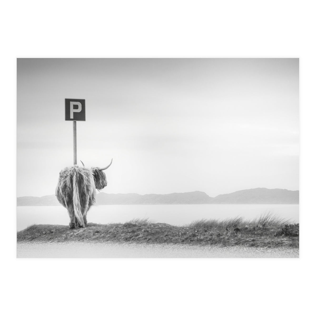 Highland Visitor (Print Only)