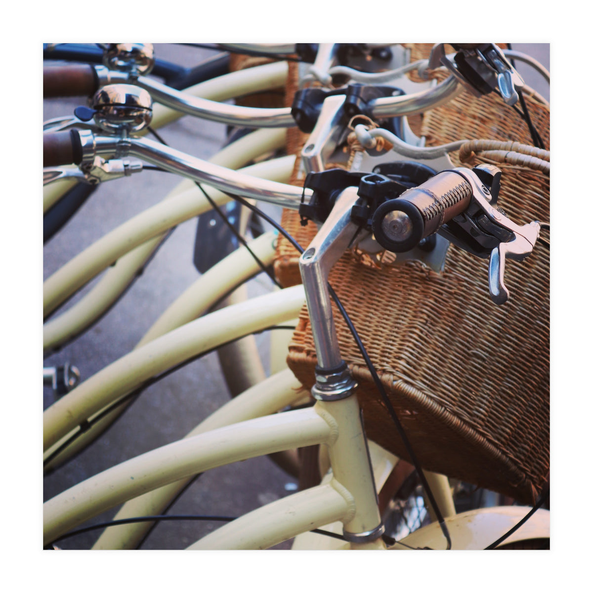 Stacks of bicycles (Print Only)