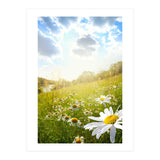 Nature (Print Only) thumbnail