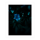Shining Blue Floral (Print Only) thumbnail