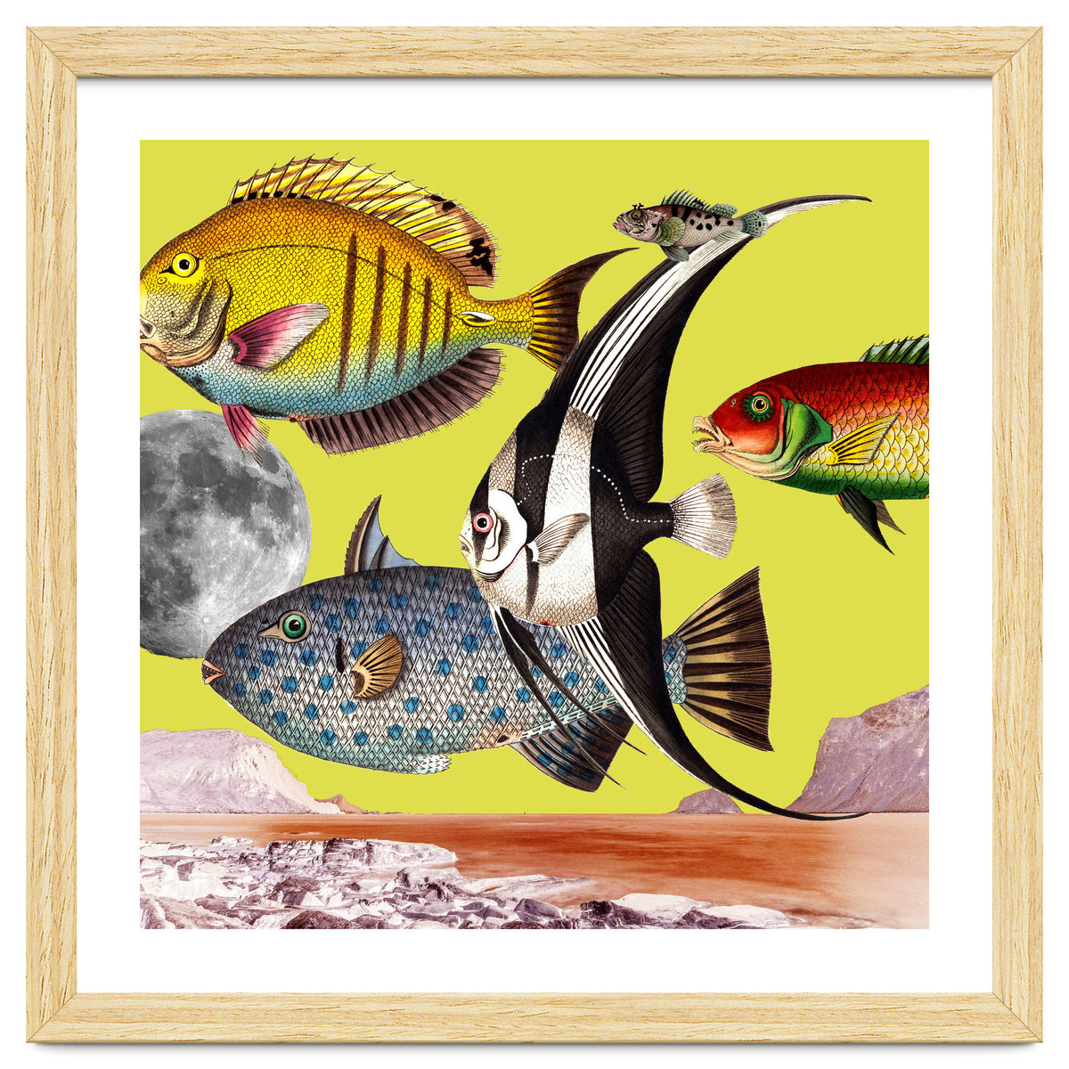 Plenty Of Fish In The Sea Yellow