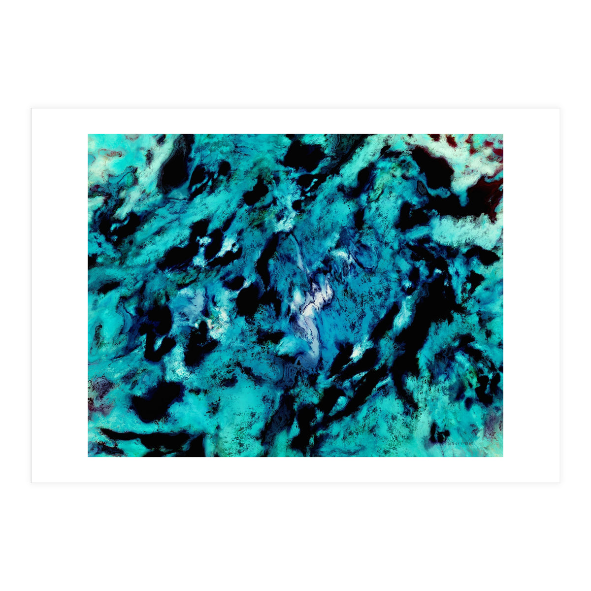 Distinguishing Marks (Print Only)