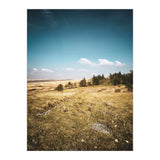 Dartmoor  (Print Only) thumbnail