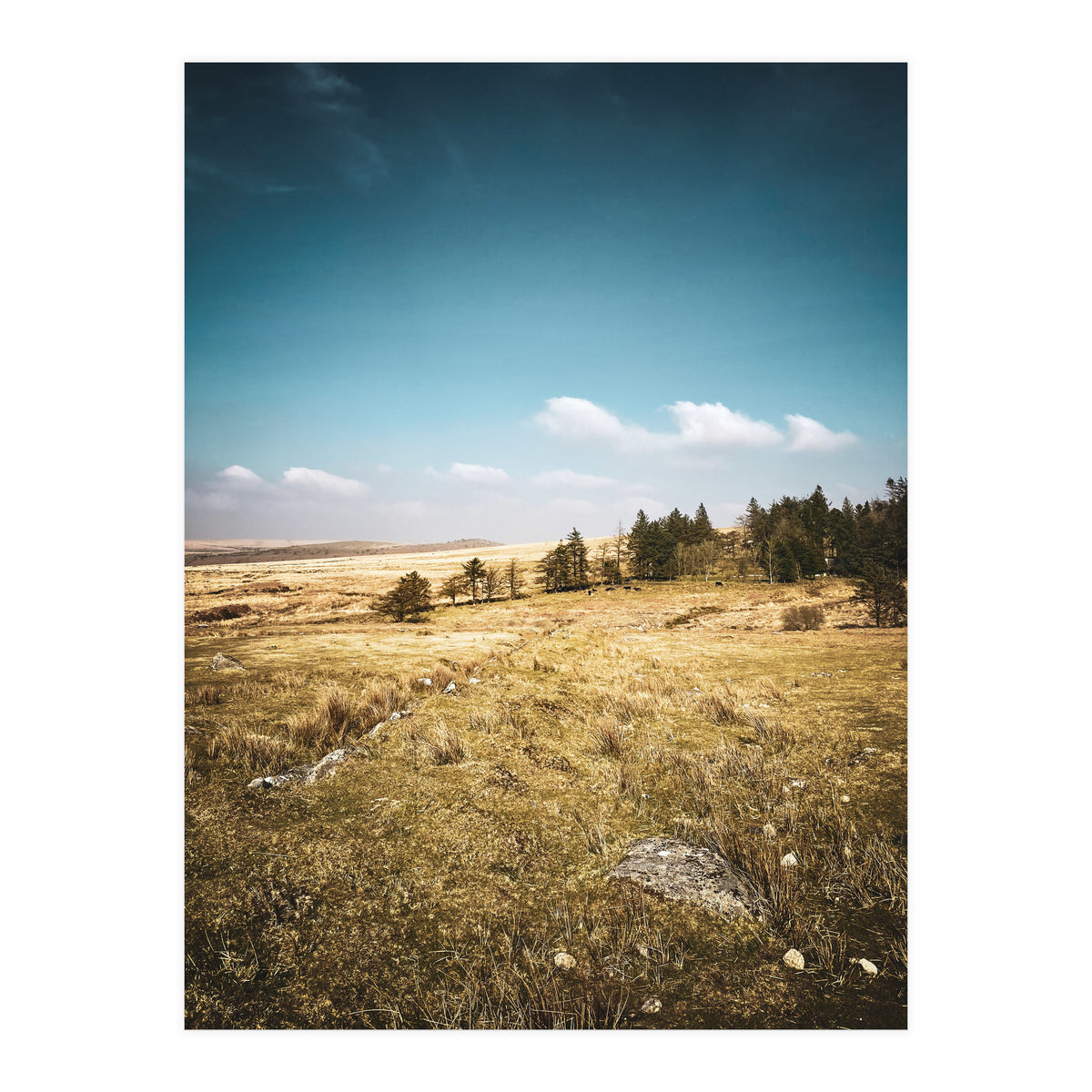 Dartmoor  (Print Only)