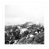 46 (Print Only) thumbnail