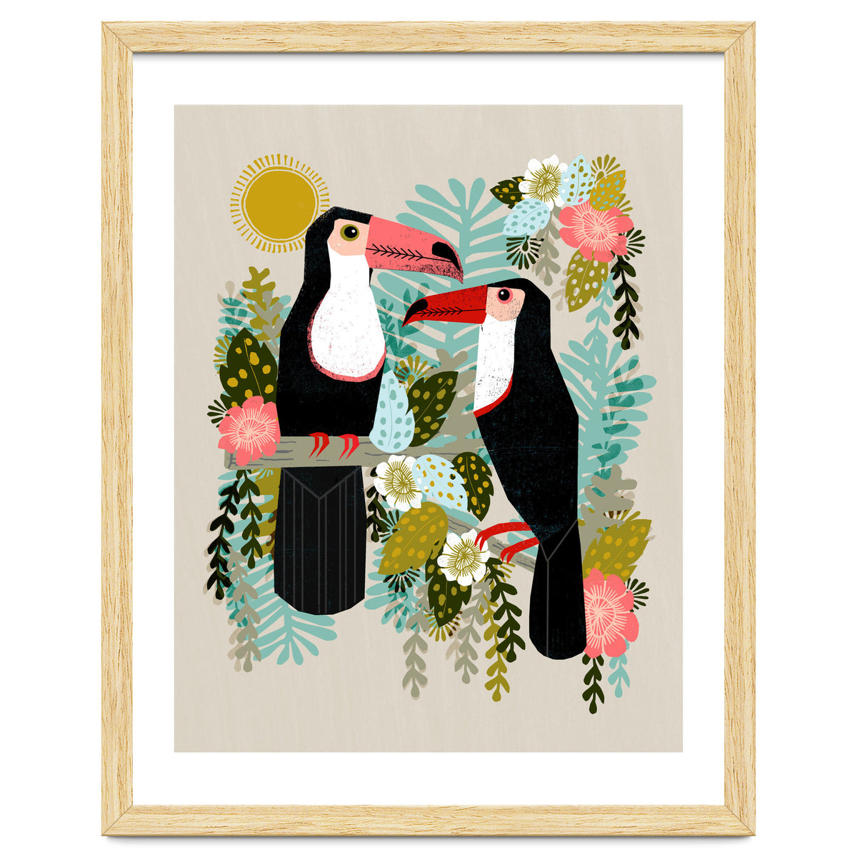 Toucans