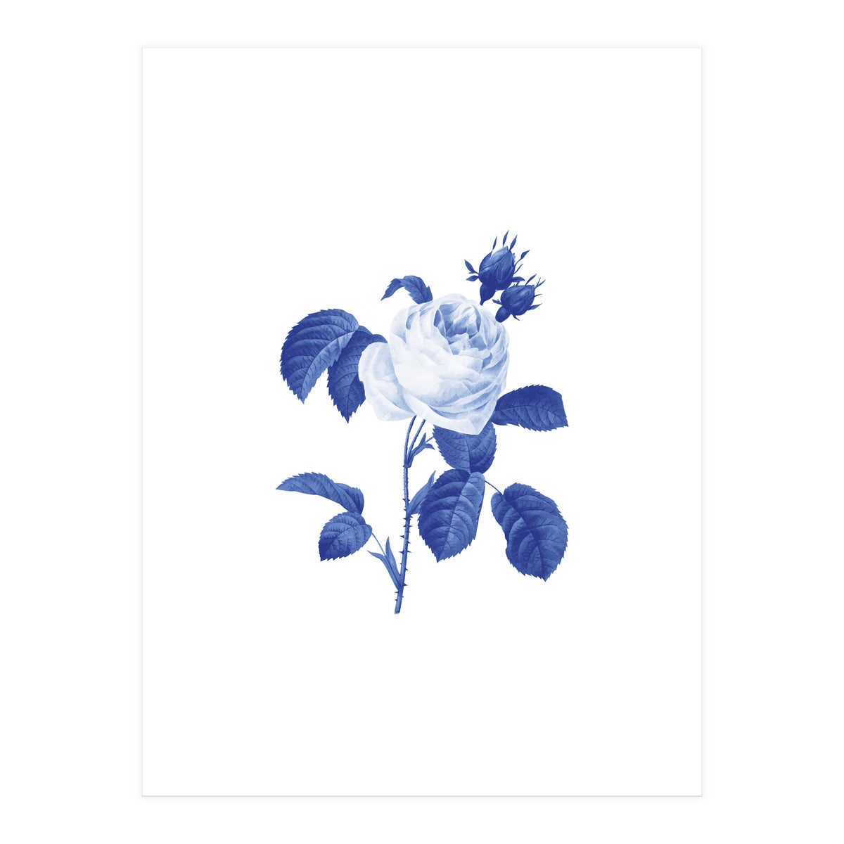 Blue Botanic I (Print Only)
