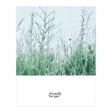 Friendly escape - Nature Photography - (Print Only) thumbnail