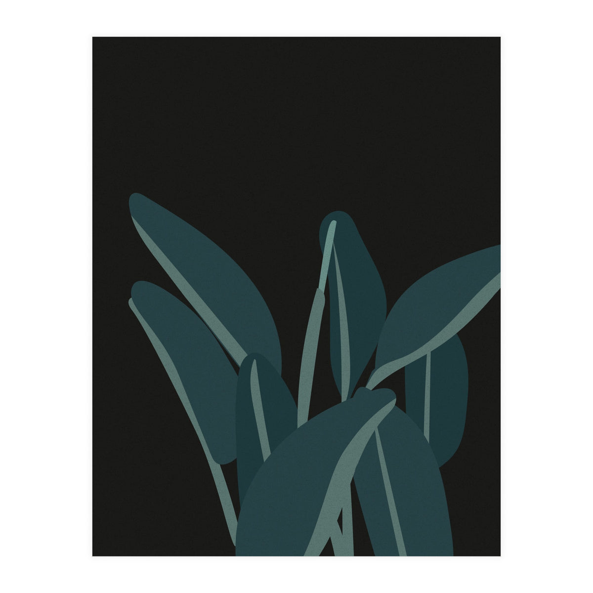 Bird Of Paradise (Print Only)