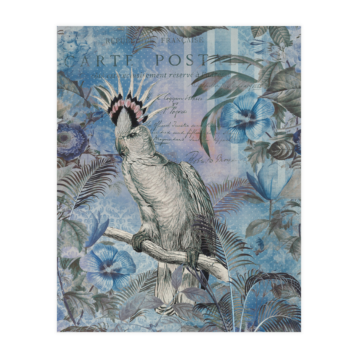 Jungle Cockatoo Blue (Print Only)