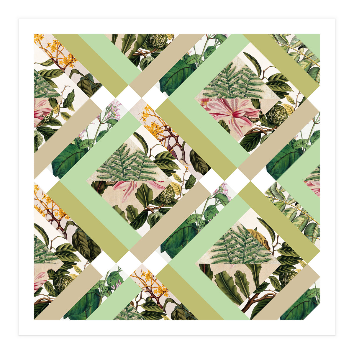 Cubed Vintage Botanicals (Print Only)