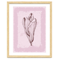 Magnolia Neutral Abstract Botanical