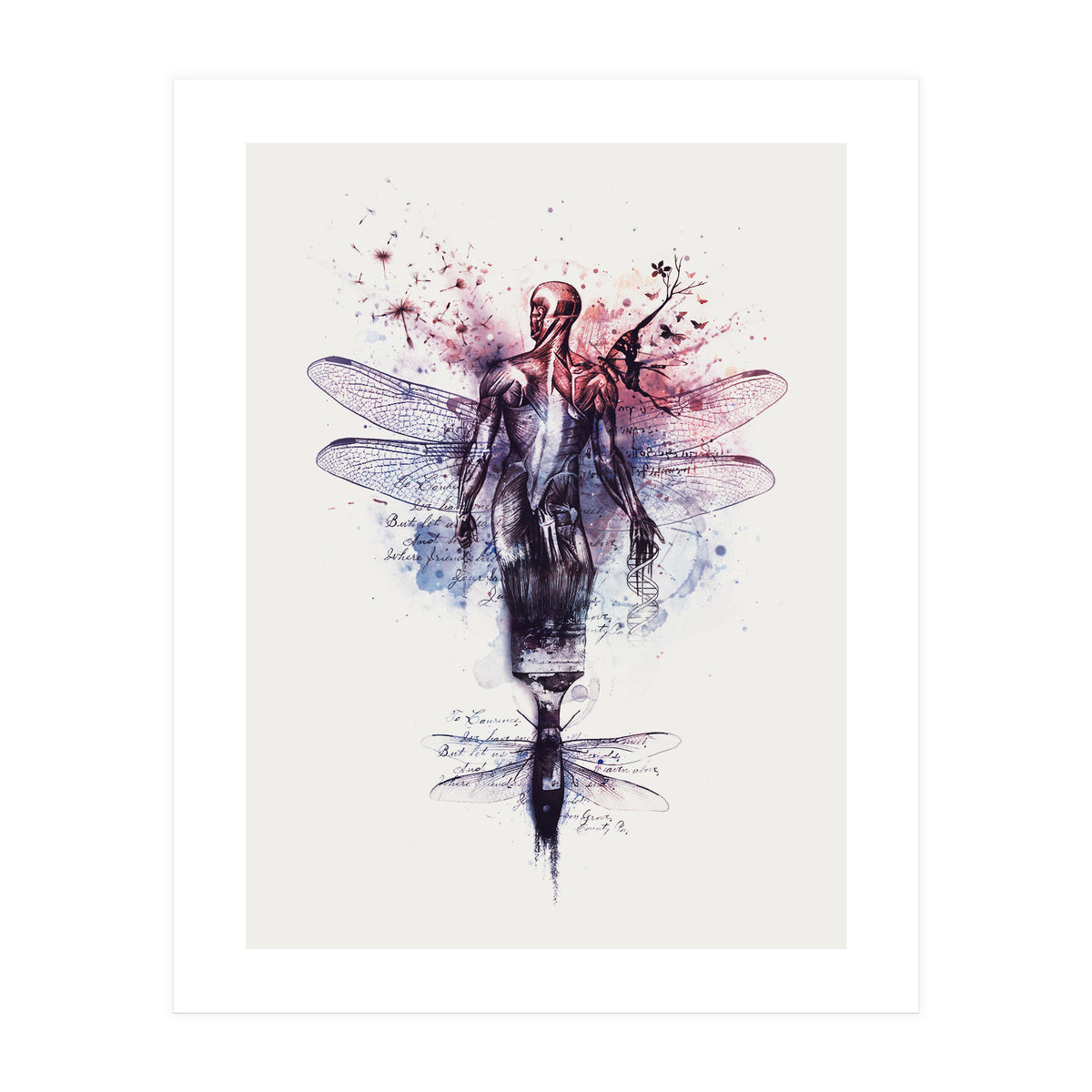 Metamorphose (Print Only)