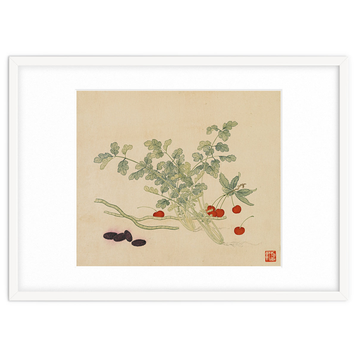 Wang Chengyu~flowers And Vegetables, Vegetables, Fruits, Beans, Red Beans, Cherries, Celery
