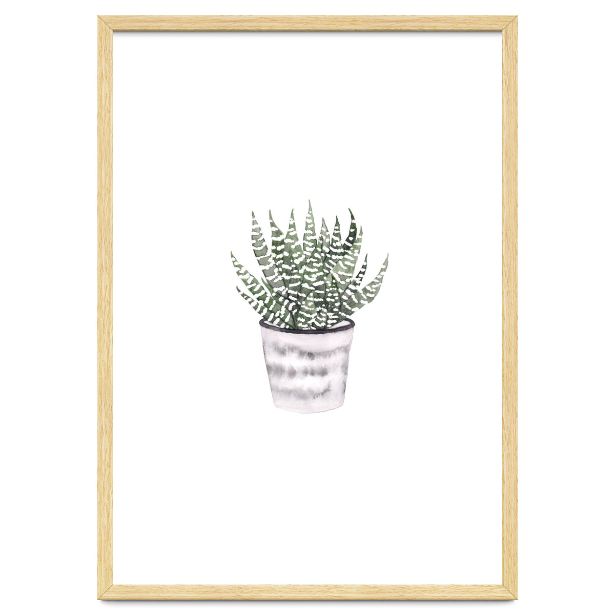 Potted Plant