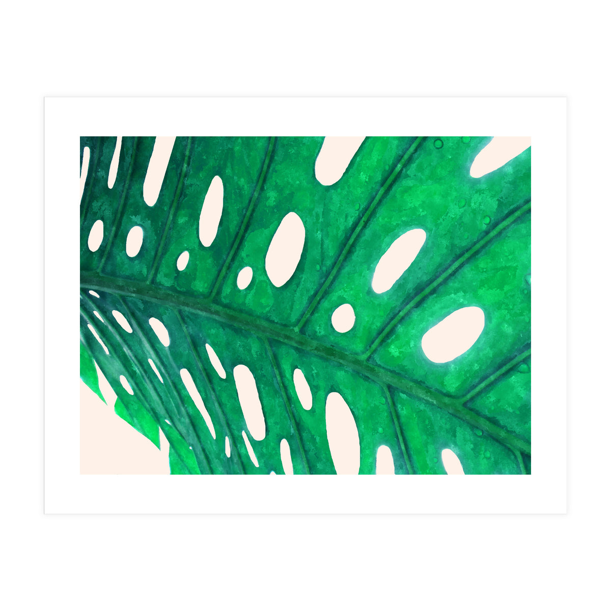 Foliage V2 (Print Only)