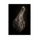 Gourds No 3 (Print Only) thumbnail