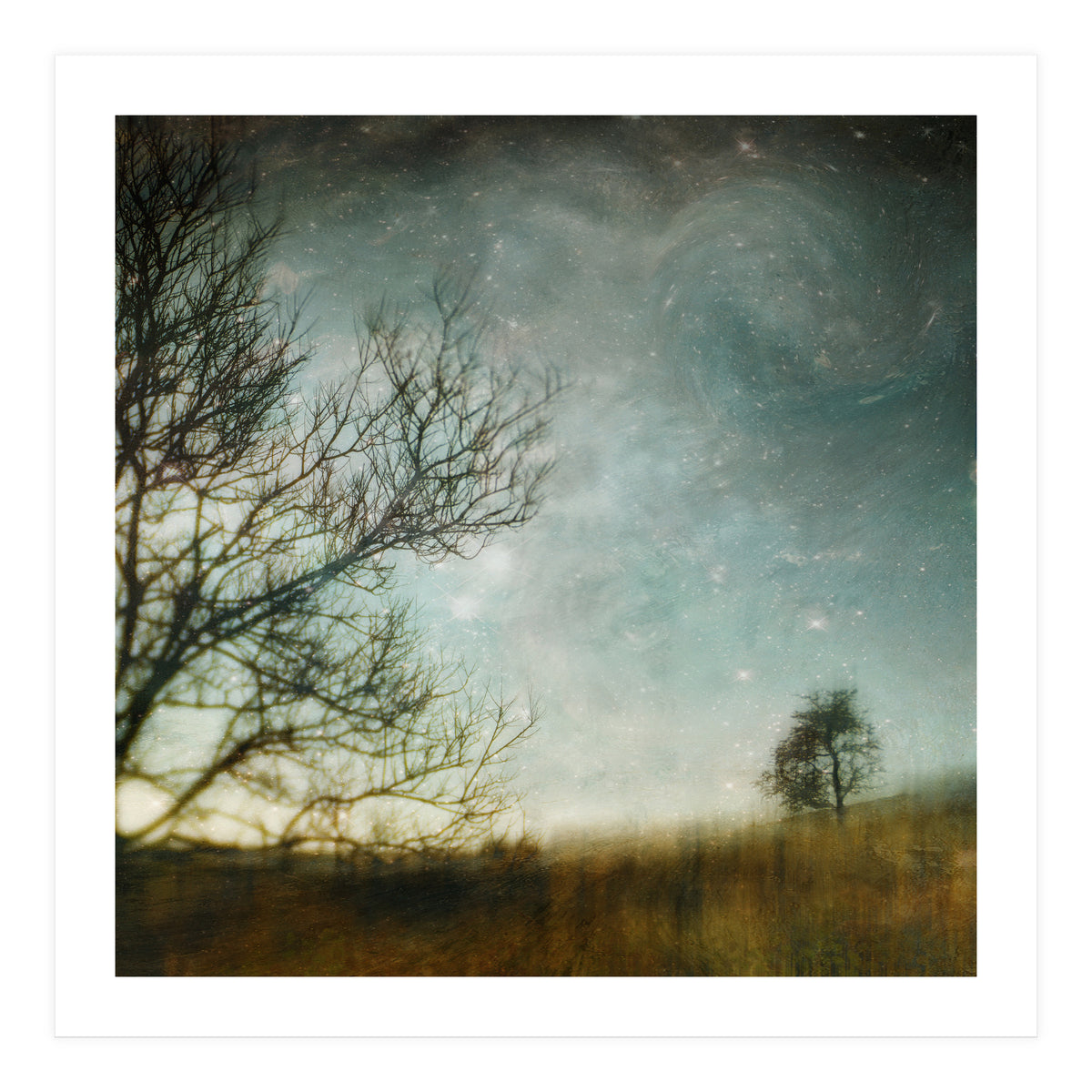 The Tree That Whispered (Print Only)