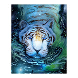 Galaxy Swim (Print Only) thumbnail