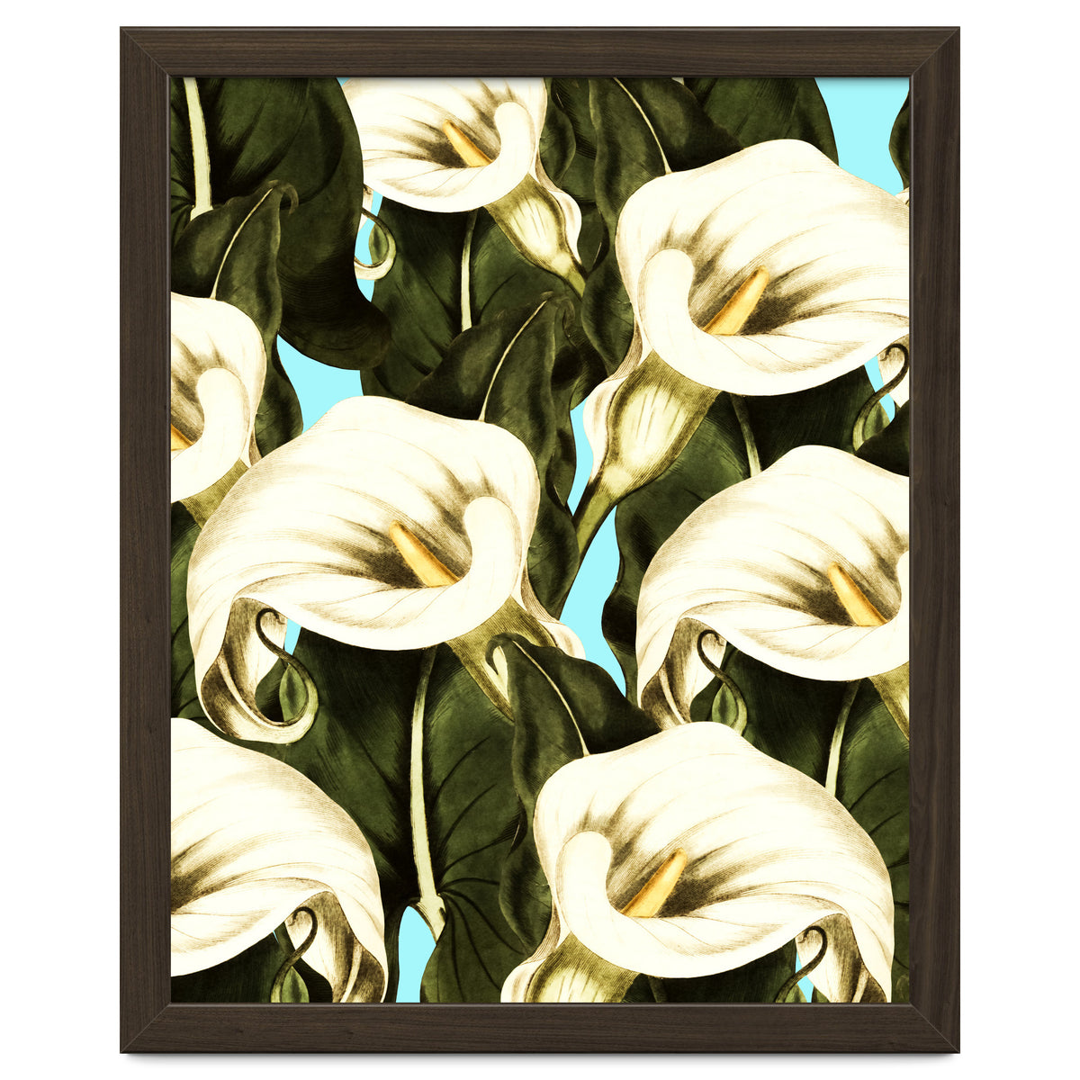 Pattern floral Ethiopian-Calla