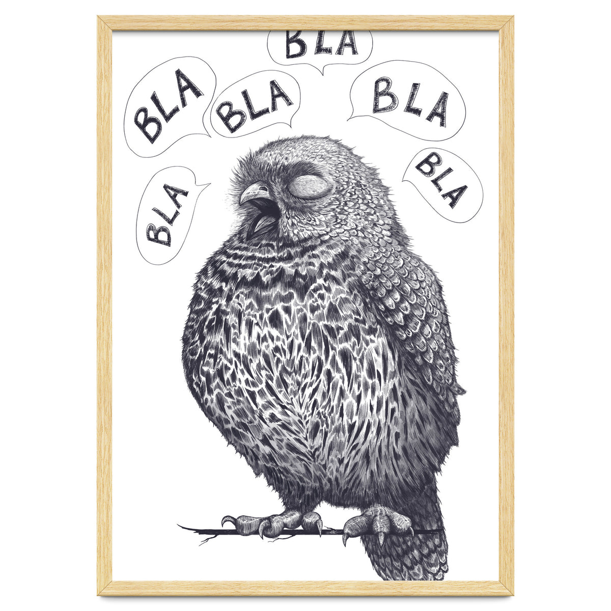 Owl Bla Bla Bla
