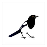 Magpie (Print Only) thumbnail