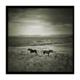 Gillen (Print Only) thumbnail