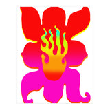 Fuego 112 Copia (Print Only) thumbnail
