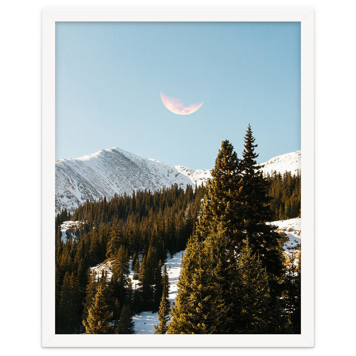 Daylight Moon