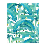Banana Forest (Print Only) thumbnail
