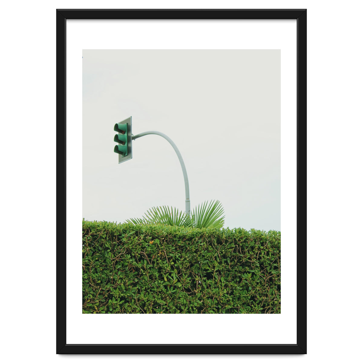 Urban Plant