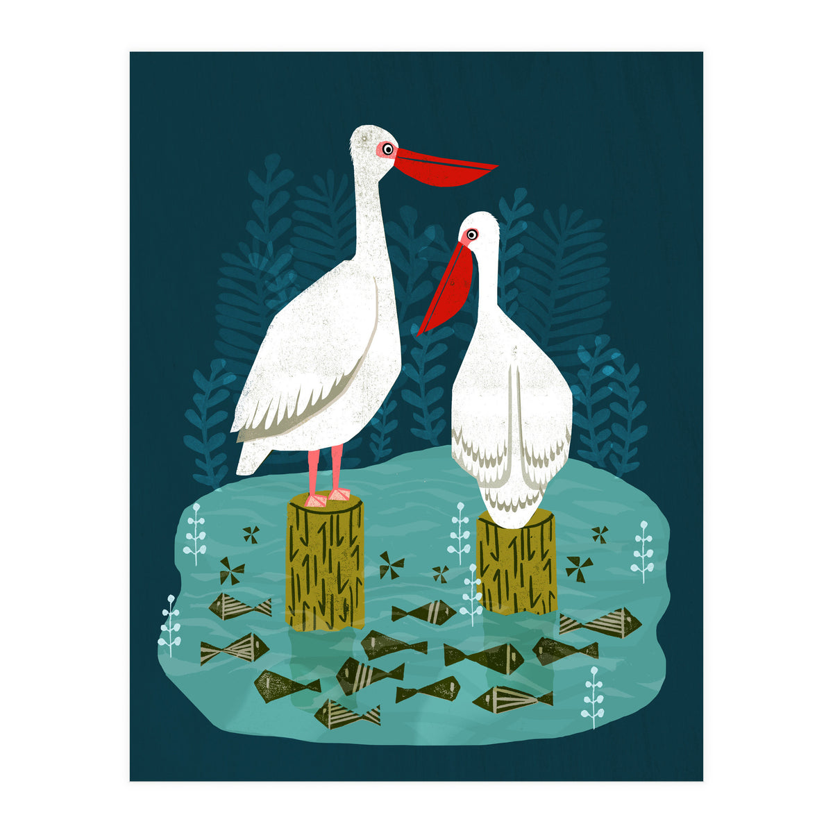 Pelicans (Print Only)